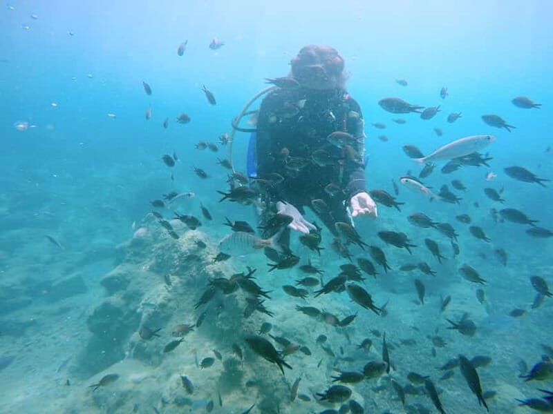 Hersonissos, Stalida: Scuba Diving Experience for beginners - Final Thoughts: Who Is This Experience Best For?