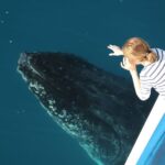 Hervey Bay 4-Hour Whale Watch Encounter - Price & Value