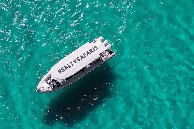Hervey Bay: Half Day Whale watching & Island Stop Tour - Who Will Love This Tour?
