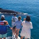 Hervey Bay Overnight Whale Watching Cabin Hire - Final Thoughts: Is It Worth It?