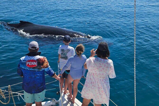 Hervey Bay Overnight Whale Watching Cabin Hire - Final Thoughts: Is It Worth It?