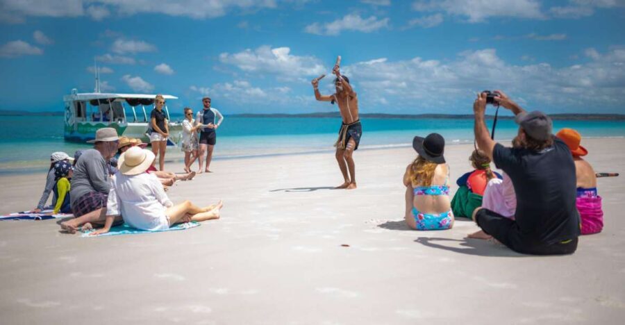 Hervey Bay: Turtle Discovery Eco Tour - Who Should Consider This Tour?