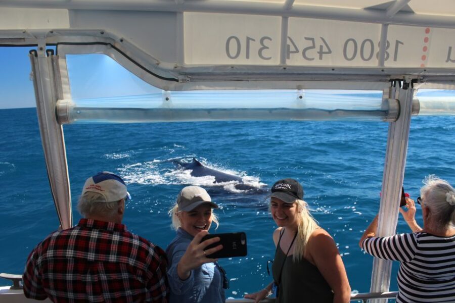 Hervey Bay: Ultimate Whale Watching Experience - Practical Details