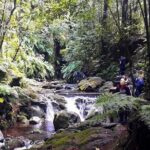 Hidden Corners: Levada Walk from Funchal - Price and Value Analysis