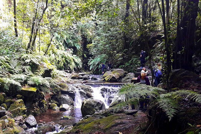 Hidden Corners: Levada Walk from Funchal - Price and Value Analysis