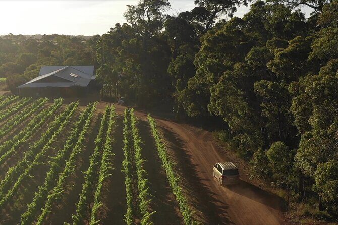 Hidden Gems: Full-Day Wine, Scones, Lunch and Local Produce Tour - The Full Experience Breakdown