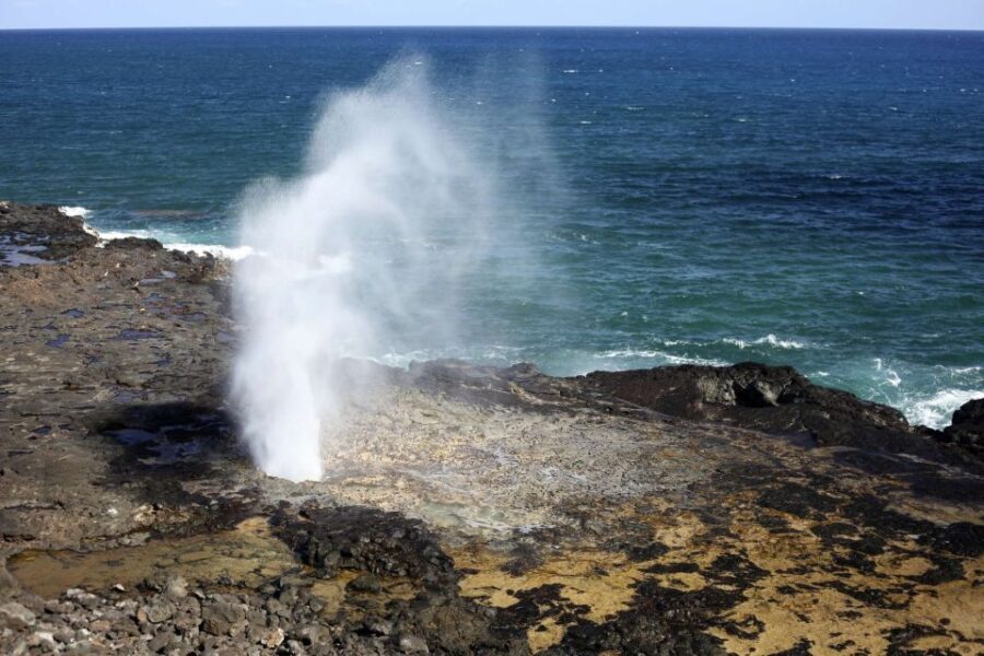 Hidden Gems of Oahu Circle Island Tour with Byodo-In Temple - Who Is This Tour Best For?