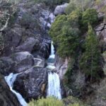 Hidden Gems of Peneda-Gerês National Park on a Full-Day Tour - What the Reviews Say