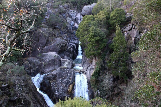 Hidden Gems of Peneda-Gerês National Park on a Full-Day Tour - What the Reviews Say
