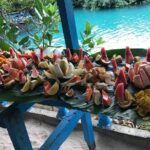 Hideaway Island Escape, Blue Lagoon and Turtle Experience - Who Will Love This Tour?