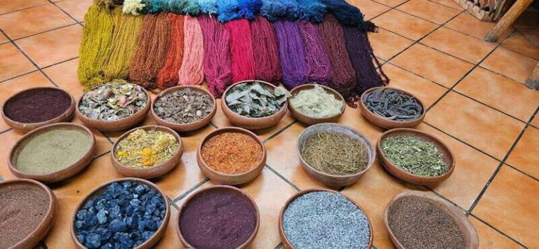 Hierve el agua: A Day of Adventure, Culture, and Flavor - Analyzing the Value