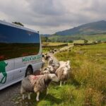 High Adventure: Mountain Passes & Muncaster Castle from Oxenholme - Final Thoughts
