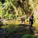 High Canyoning: Medium-High Level Canyoning Tour - The Value of High Canyoning in the Azores