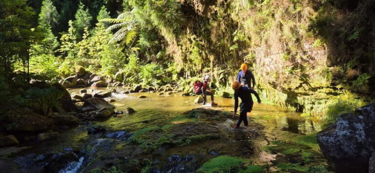 High Canyoning: Medium-High Level Canyoning Tour - The Value of High Canyoning in the Azores