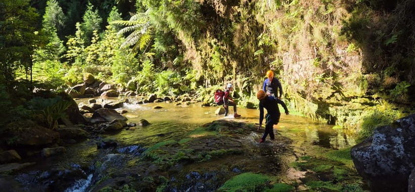 High Canyoning: Medium-High Level Canyoning Tour - The Value of High Canyoning in the Azores