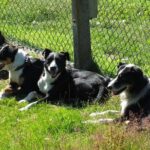 High Country Discovery Tour from Queenstown - Why this Tour Offers Excellent Value
