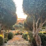 High End Sommelier Tour on Waiheke Island - An In-Depth Look at the Waiheke Sommelier Tour