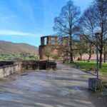 High Lights of Heidelberg - Private Tour of Castle and Town - A Deep Dive into Heidelberg’s Top Sights