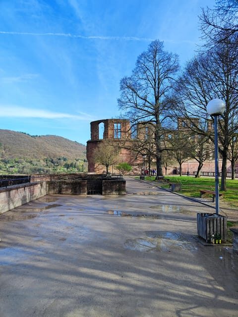 High Lights of Heidelberg - Private Tour of Castle and Town - A Deep Dive into Heidelberg’s Top Sights