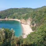 Highlights of Kotor, Perast & Budva - Who Should Consider This Tour?