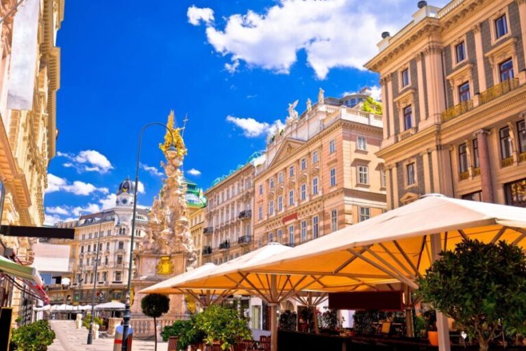 Highlights of Vienna: Private Bike Tour with Licensed Guide - The Ride & the Guide: What to Expect