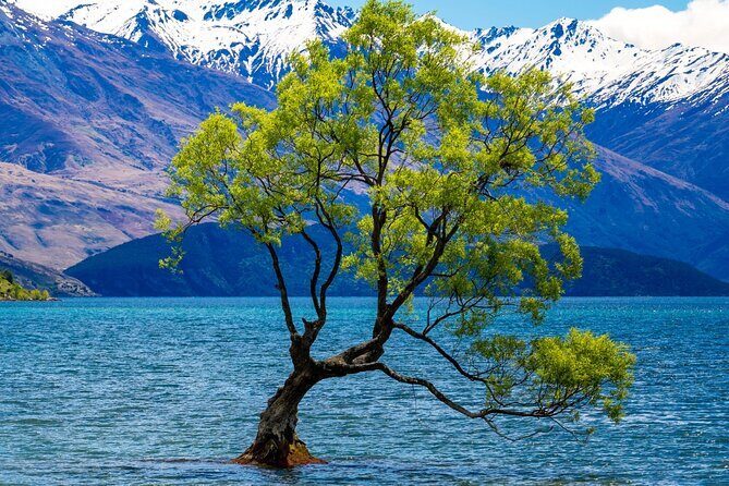 Highlights of Wanaka Scenic Shuttle Tour from Queenstown - Why This Tour Works for Travelers
