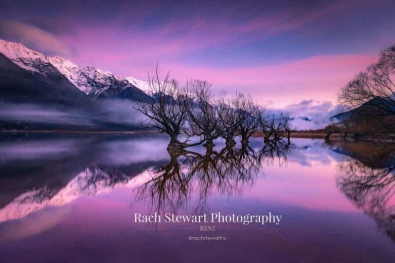 Highlights Tour with Tasting & Sunset in Oia - Final Thoughts