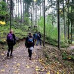 Hike In Gauja National Park - Up And Down The Switzerland Of Latvia - Practical Details and Value