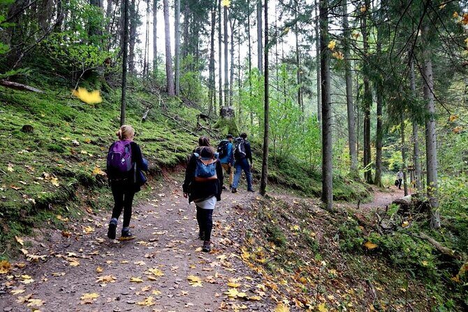 Hike In Gauja National Park - Up And Down The Switzerland Of Latvia - Practical Details and Value