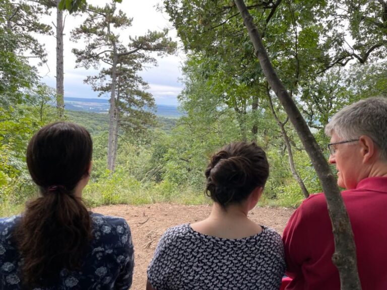 Hike, nature & picturesque view over Budapest - An In-Depth Look at the Budapest Hilltop Hike