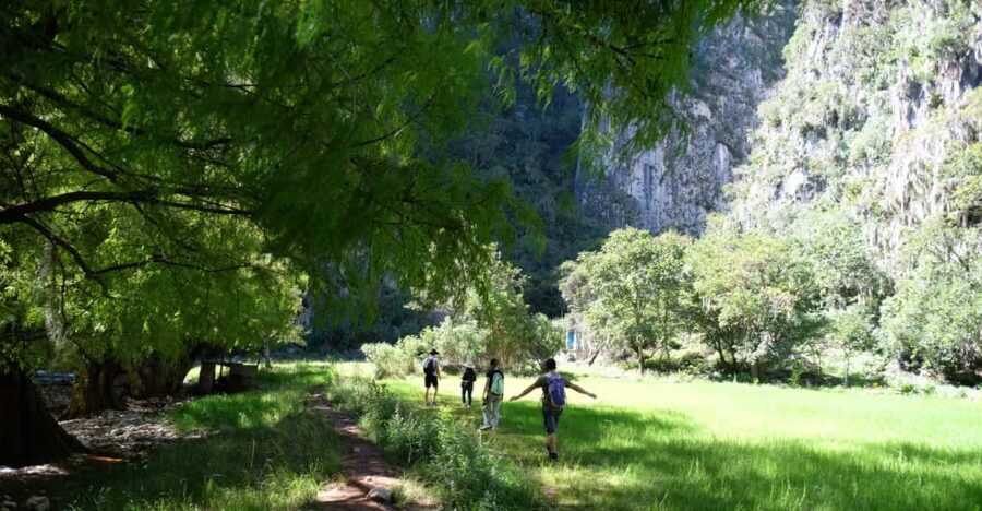 Hike + Swim at Apoala Waterfalls - Who Is This Tour Perfect For?