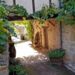 Hike to discover the most beautiful villages of France of the Dordogne valley : Loubressac and Autoire - Exploring the Details: What to Expect from the Tour