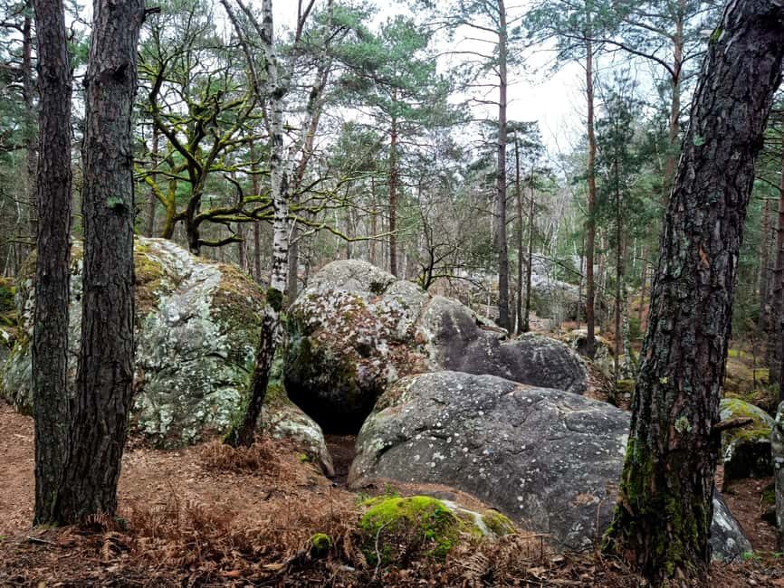 Hiking Adventure in the Fontainebleau Forest - The Sum Up: Who Should Consider This Tour?