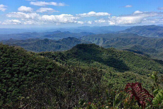 Hiking Adventure including Fiji's Highest Mountain and 3 Nights - What Past Travelers Say