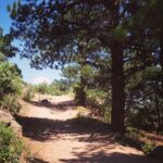 Hiking Adventure Through Colorado's Front Range Close to Denver - Why This Tour Is Worth Considering