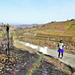 Hiking and wine tour starting from Alba - An In-Depth Look at the Experience