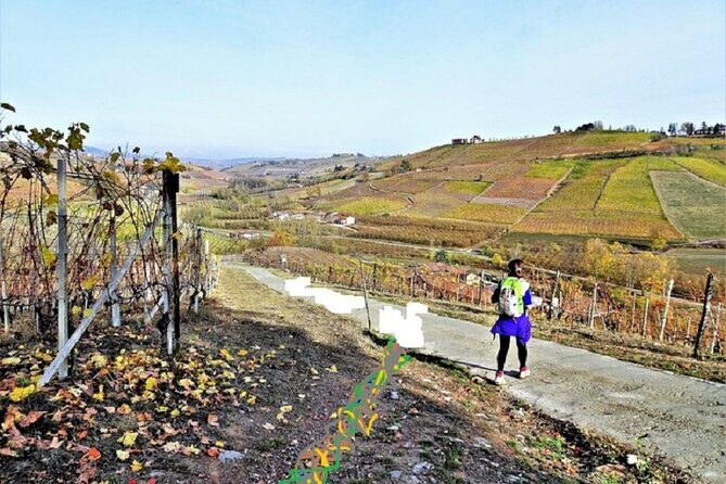 Hiking and wine tour starting from Alba - An In-Depth Look at the Experience