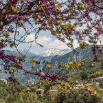 Hiking around Kardamyli - The Details: Itinerary and Highlights