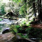 Hiking in Bohemian Switzerland - a day trip from Prague - Practical Tips for Your Day in Bohemian Switzerland