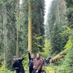 Hiking in Borjomi from Tbilisi - A Detailed Look at the Tour Experience