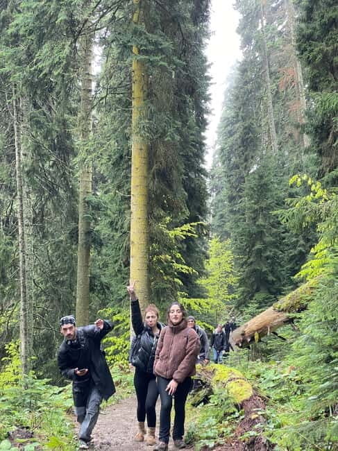 Hiking in Borjomi from Tbilisi - A Detailed Look at the Tour Experience