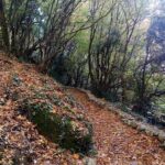 Hiking in magnificent Meteora - Who Should Consider This Tour?
