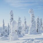 Hiking in Riisitunturi National Park with Photographer - Who Will Love This Tour?