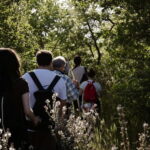 Hiking in the Alta Murgia National Park: the forest and the ancient farmhouse - Authentic Experience and Final Thoughts