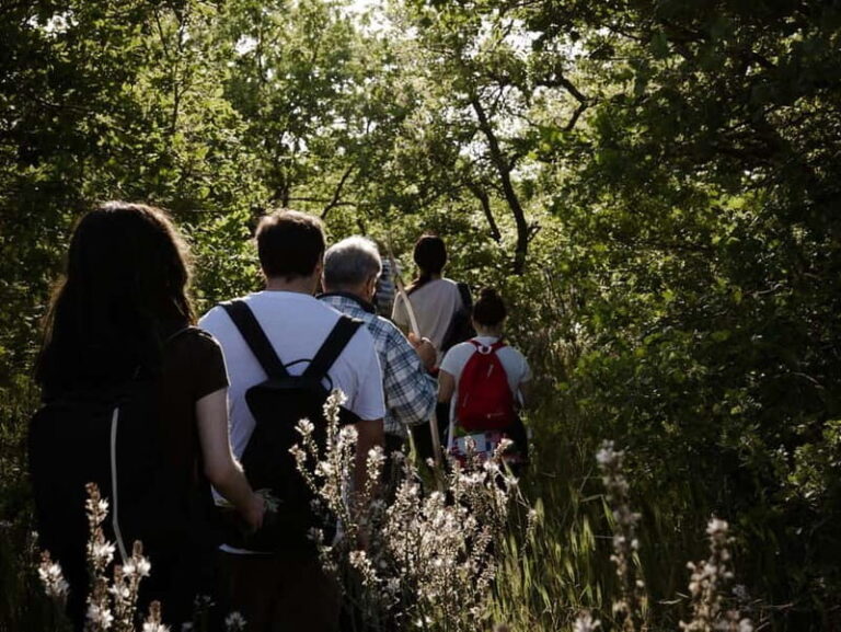 Hiking in the Alta Murgia National Park: the forest and the ancient farmhouse - Authentic Experience and Final Thoughts