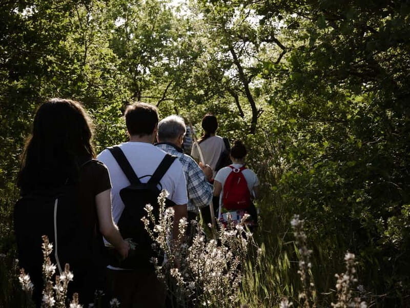 Hiking in the Alta Murgia National Park: the forest and the ancient farmhouse - Authentic Experience and Final Thoughts