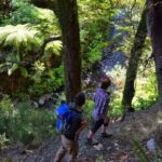 Hiking in the Forest & Stunning Italian Ghost Town of Rhodes! - A Closer Look at the Itinerary