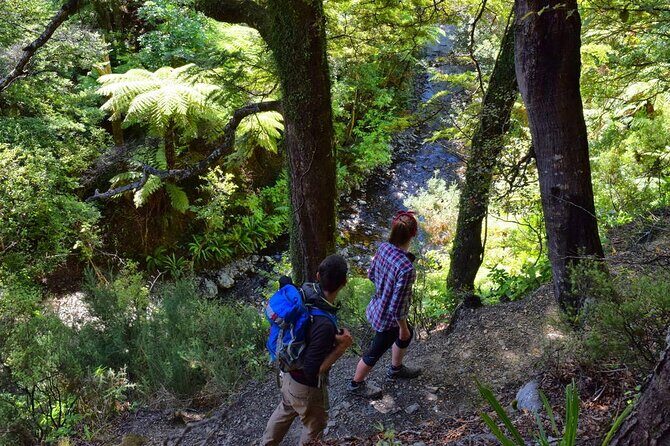 Hiking in the Forest & Stunning Italian Ghost Town of Rhodes! - A Closer Look at the Itinerary