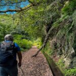 Hiking Madeira: Levada do Rei and the Majestic Laurissilva - The Detailed Experience: What to Expect on Your Madeira Hike