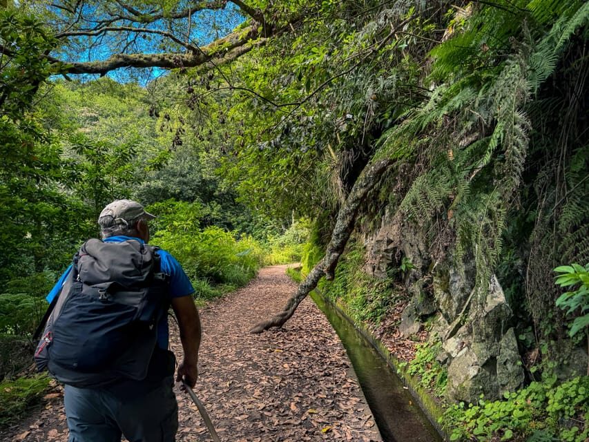 Hiking Madeira: Levada do Rei and the Majestic Laurissilva - The Detailed Experience: What to Expect on Your Madeira Hike